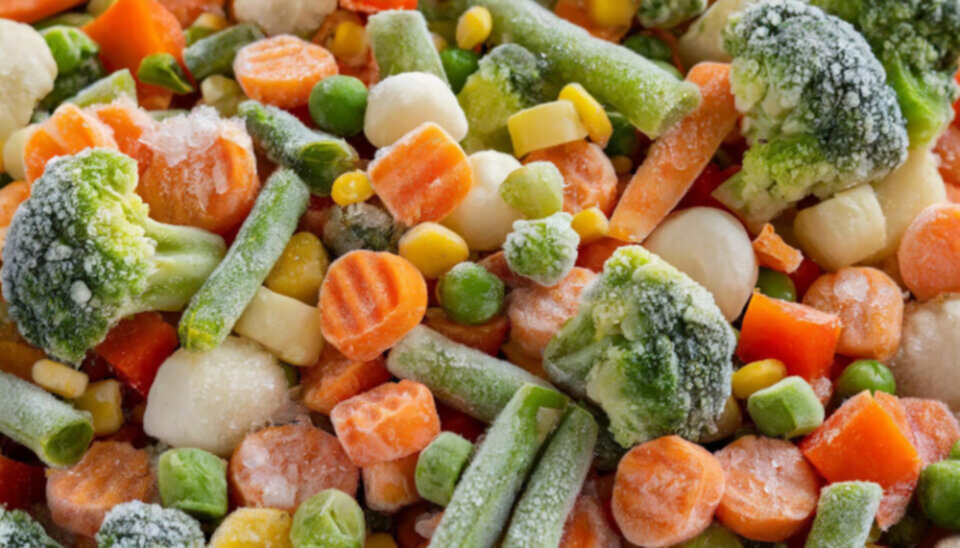 Gıda Güvenliğinde Dönüm Noktası: Donmuş Gıdaların İşlenme ve Saklama Standartları